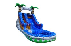 13ft Wild Thing Bounce House w/ Slide